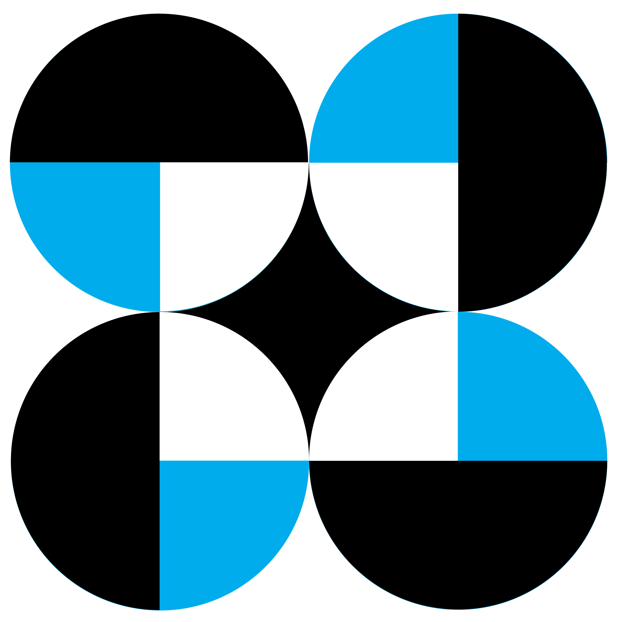 Partner 6